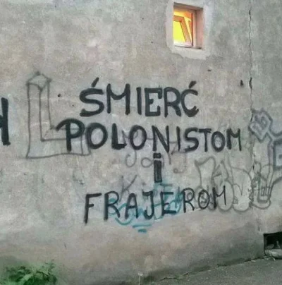 Clermont - Zwierzęta z polibudy niszczą mury.
#studbaza #polibuda #mury