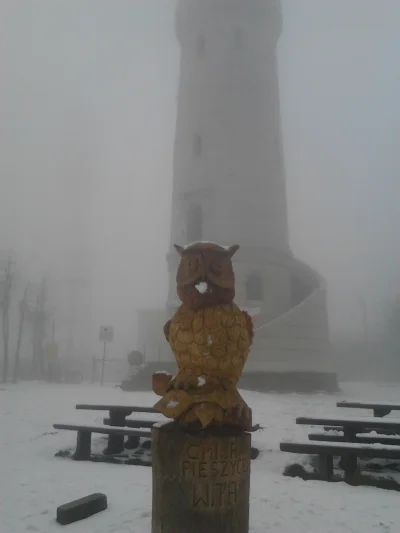 t.....5 - śnieg dziś widziałem (｡◕‿‿◕｡)
SPOILER
#wielkasowa #dolnyslask