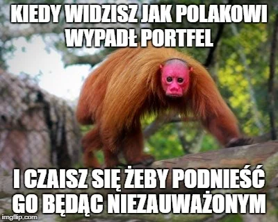 GrochenMochen - ( ͡° ͜ʖ ͡°) #heheszki #ukrainiec #uakari #humorobrazkowy