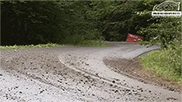 Shewie - #heheszki #gif #rajdy #wrc