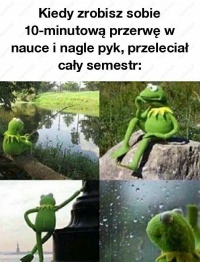 stomilciszy - #truestory #studbaza