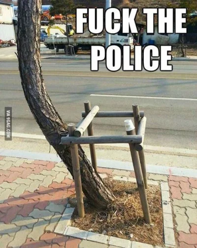 n.....r - #humorobrazkowy #9gag #niewiemczybylo #fuckthepolice