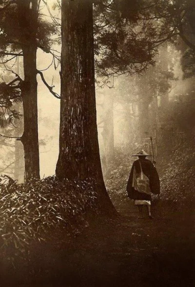 HaHard - Podróżnik na leśnej drodze.
Japonia, późny wiek XIX lub początek XX wieku.
...