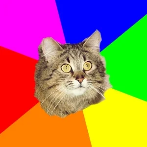 hesus - koleżanka wrzuciła zdjęcie kota, ja przerobiłem na mema i nie wiem co tu napi...