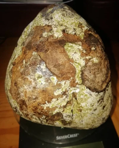 kyloe - Tak wygląda kilogramowy kawał szarej ambry ( zdjęcie pochodzi z profilu Pata ...