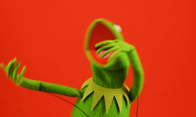 adam-tom - Jaca się odpala
#danielmagical