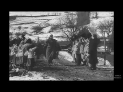 a.....3 - #wideo #historia #polska #wegry #1939
Granica polsko-węgierska 1939.