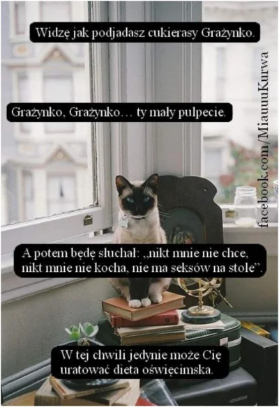 staddowiecznosci - #heheszki #logikarozowychpaskow #dieta #humorobrazkowy