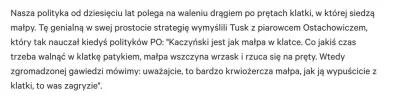 SIerraPapa - @RandomizeUsr0: Wolisz być:
a. małpą
b. opiekunem
c. gościem, który n...