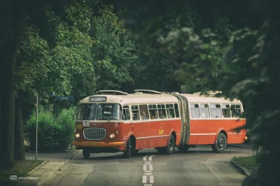 funthomas - A tak wygląda ten autobus