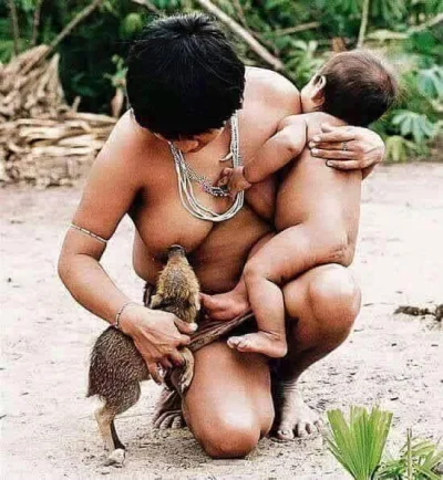 angela09 - Kobieta z Amazonii karmiąca małego dzika, którego matka została zastrzelon...