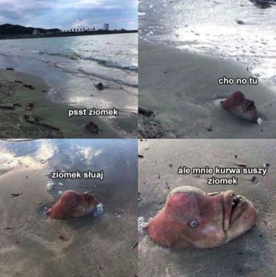 jacobs0n - śmieszy za każdym #!$%@? razem pozdrawiam serdecznie