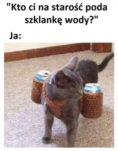 nilnisibene - niedzielka #smiesznekotki #humorobrazkowy #zycie