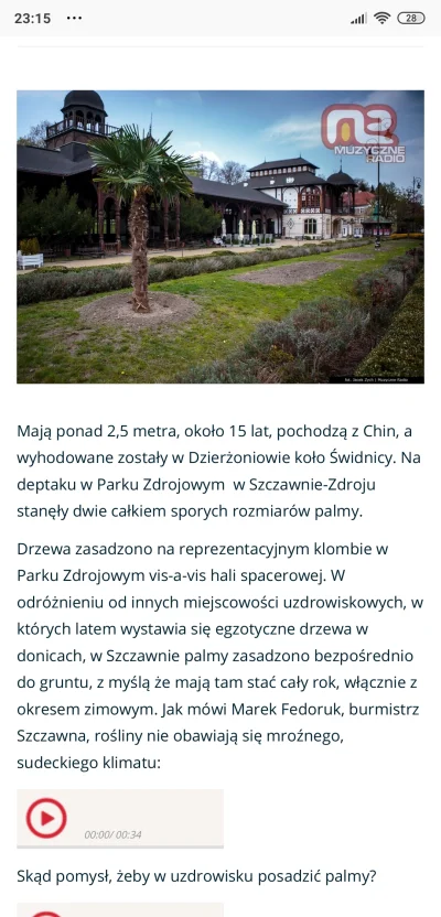 Reepo - Szczawno już przetestowało palmy, Wrocław ma jeszcze lepszy klimat pod nie, t...