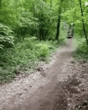 toxa - #zwierzaczki #smiesznepieski #heheszki #gif #rower #zwierzaczkowegify #smieszn...