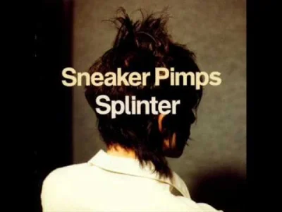 Kresse - Sneaker Pimps - Lightning Field

#muzyka #triphop