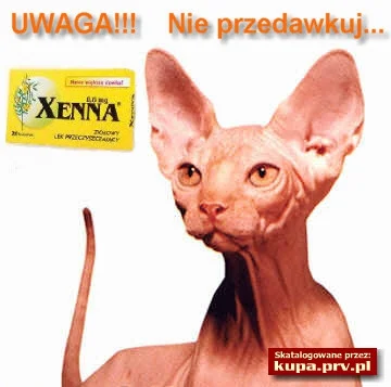 olek0017 - #xenna