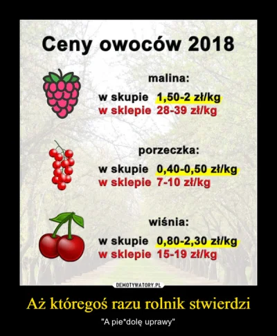 Admiral16 - Ostatnio popularne są memy o różnicach w cenie owoców w skupie i w sklepi...