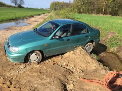 goferek - DZISIEJ RANO ZASZŁA DO MIE POLICJA KURDE CO ZNOWUSZ A PIES MUWI CHOĆ CYTRYN...