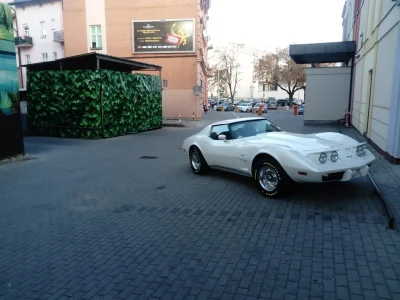 leniuchowanie - Biały kruk 
#corvette #motoryzacja #rzeszow