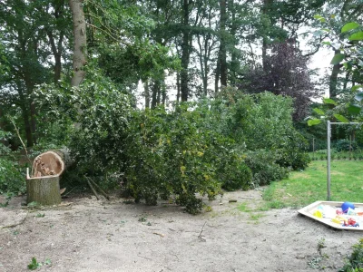 tusiatko - @FlaszGordon: Jak panowie wycinali drzewo przed domem mojej mamy dwa lata ...