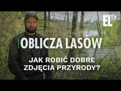 Filodendron - Nowy odcinek "Ech leśnych"
#echalesne #polskiyoutube
