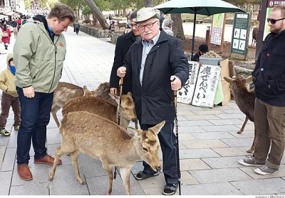 marianoitaliano - > Karmienie jeleni w Japonii.

@viejra: pamiętam to