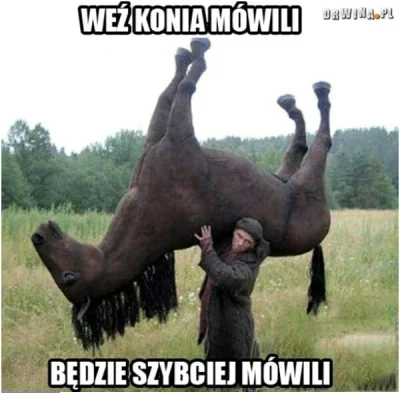 terefen - Teraz trzeba zwalić konia :D
#koń #walenie #noszeniekonia #mówili