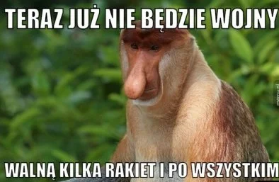 wlepierwot - #polak #iran #heheszki #wojna #gownowpis #nosaczsundajski