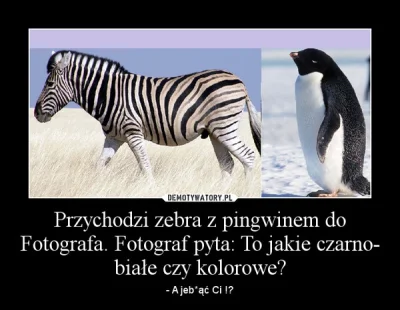 Korposzczurek - @suchanice:

#humorobrazkowy