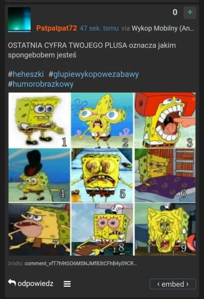 b.....o - Co usuwasz placku, przez ciebie nie mogę się dowiedzieć jakim SpongeBobem j...