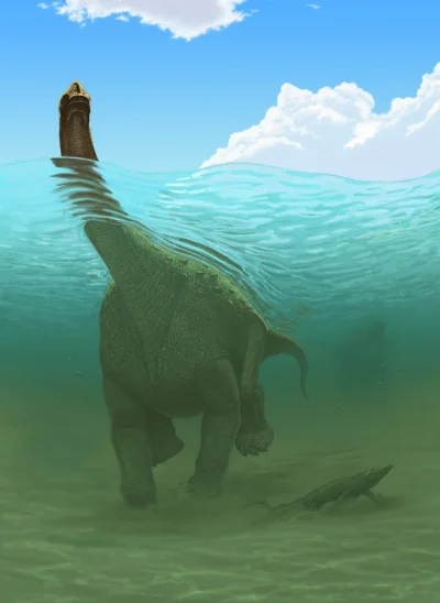 Crazy_Dino - Czy ogromne zauropody pływały?

Kolejne znaleziska tropów zauropodów, ...