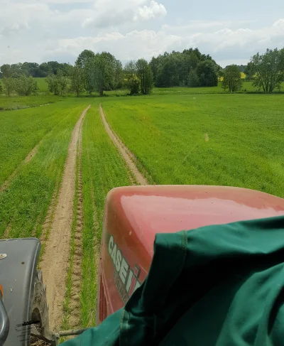 TheKa - Posypane. #traktorboners #rolnictwo