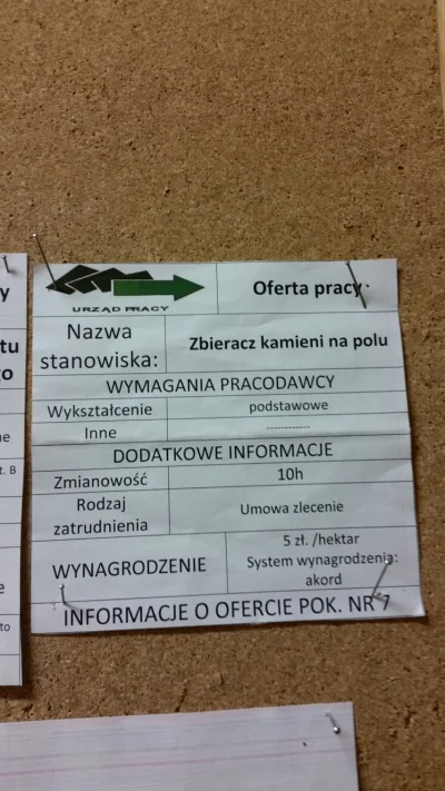 Sogoss - Ja #!$%@? nie wierzę #urzadpracy #pup