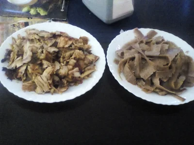 anonymous_derp - Dzisiejsza polowa kolacja: Kurczak i cielęcina z kebabu.

#redukcj...