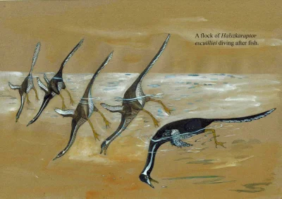 Tiszka - Takie cudeńko: stado halszkaraptorów (a.k.a. kaczkozaurów) nurkująca w stawi...