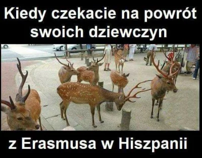 z.....h - #heheszki #humorobrazkowy #bolecnaboku