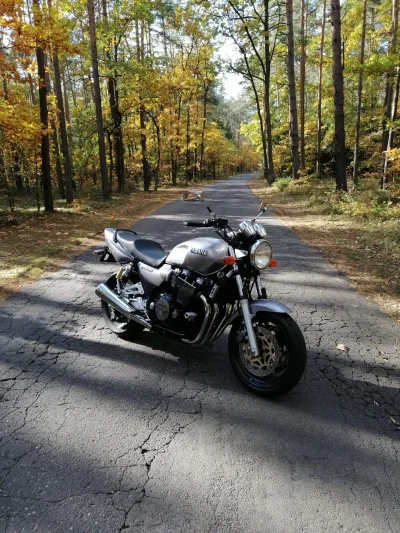 Yaq_bek - #motocykle #motomirko 

Yamaha Xjr1200 98' w jesiennej scenerii.