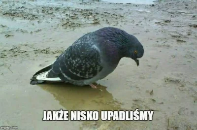 widaczew - Jakbym miał podsumować dzisiejszą nocną.