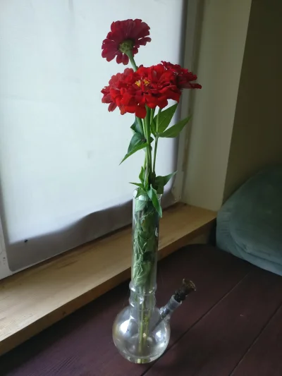 Fran_Bow - Kupiłem sobie piękny wazon
#kwiaty #narkotykizawszespoko