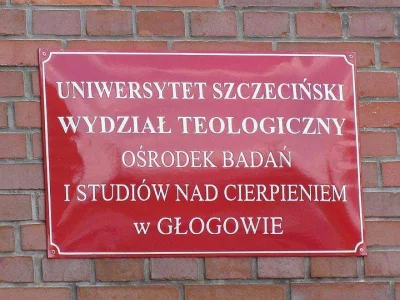 r.....y - Wiem, że Głogów jest stolicą polskiego gwałtu, ale że studiują cierpienie.....