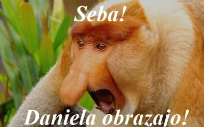 D.....o - #danielmagical #pokazmorde #pokazhejtera #polak #gownowpis #afera #humorobr...