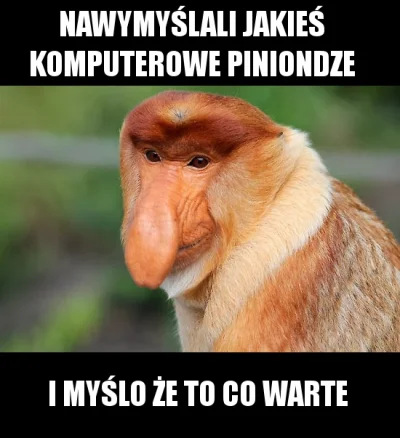 onionomous - #heheszki #polak #bitcoin #kryptowaluty