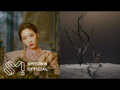 Bager - Taeyeon (태연) - Four Seasons (사계) MV

#taeyeon #snsd #koreanka #kpop