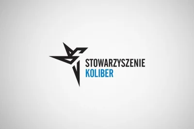 SirBlake - Nowe logo KoLibra, podoba się? 



#koliber #konserwatywnyliberalizm #graf...