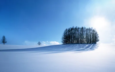 pokrakon - #fotografia #zima #drzewa #natura #earthporn