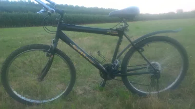 Mirkowy_Annon - Mirasy z #rower , fajnego bajka sobie złożyłem podczas bana na #wykop...