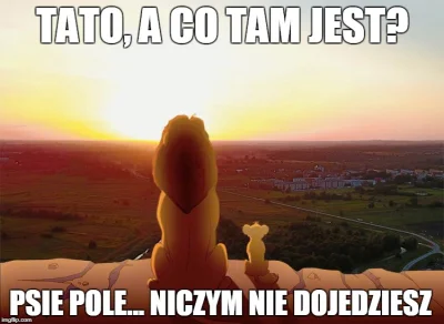 Wychwalany - Zakop. Widawa płynie przez #psiepole, a Psie Pole to nie Wrocław ( ͡° ͜ʖ...