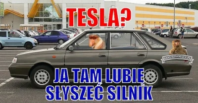 PawelW124 - #humor #heheszki #polak #nosaczsundajski #nosacz #memy #tesla