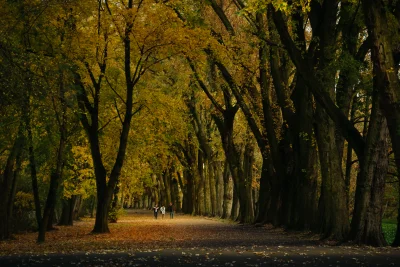 hortu - Pochwalę się swoim zdjęciem z Poznania, może komuś się spodoba :)
#tworczosc...